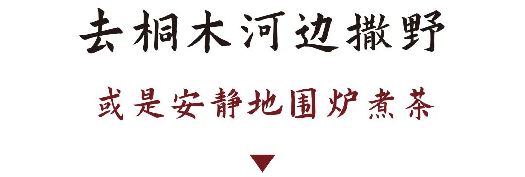 DƬ